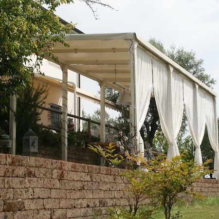 B&B La Casina Di Parrana Collesalvetti Buitenkant foto