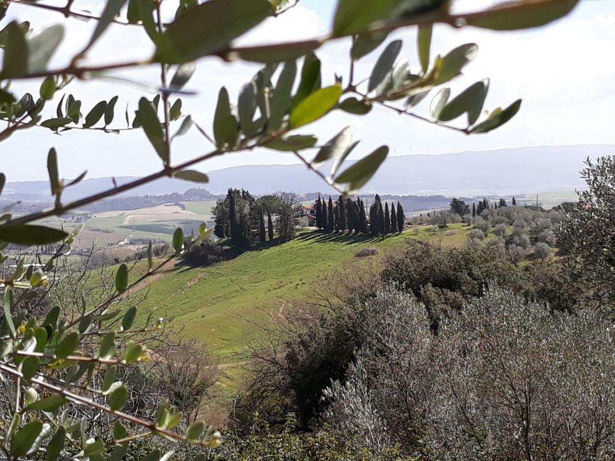 B&B La Casina Di Parrana Collesalvetti Buitenkant foto